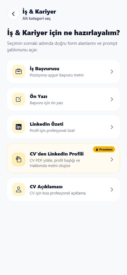 İş & Kariyer alt akışları