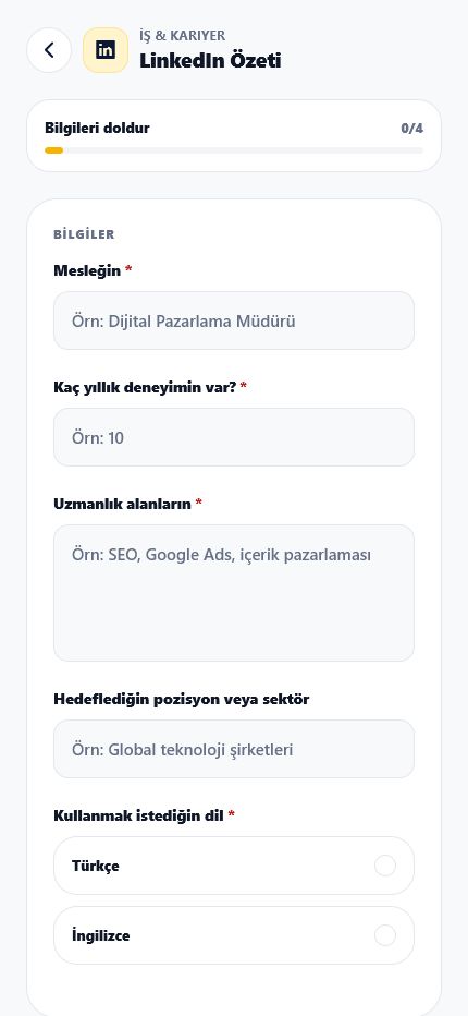 LinkedIn özeti formu